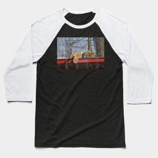 Sleeping Tiger Baseball T-Shirt